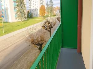 Pronájem bytu 2+1, Nové Město na Moravě, Tyršova, 55 m2