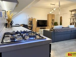 Prodej bytu 2+kk, Rudoltice, 62 m2