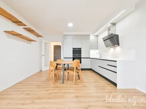Pronájem bytu 2+kk, Brno - Ponava, Střední, 55 m2