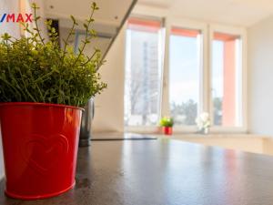 Prodej bytu 2+1, Hradec Králové - Pražské Předměstí, Haškova, 57 m2