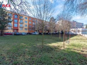 Prodej bytu 2+1, Hradec Králové - Pražské Předměstí, Haškova, 57 m2