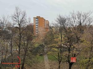 Prodej bytu 1+1, Olomouc - Povel, Heyrovského, 33 m2