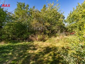 Prodej chaty, Přestavlky u Čerčan, 40 m2