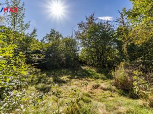 Prodej chaty, Přestavlky u Čerčan, 40 m2