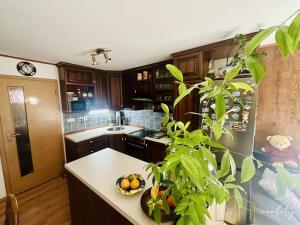 Prodej rodinného domu, Meziboří, Markův kopec, 88 m2