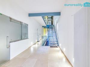 Pronájem bytu 2+kk, Mariánské Lázně, Masarykova, 80 m2