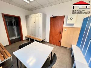 Pronájem skladu, Ostrava, Sokolská třída, 181 m2