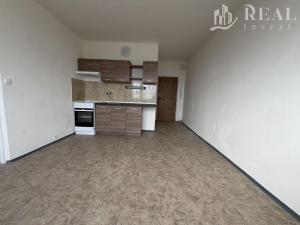 Pronájem bytu 1+1, Chomutov, Holešická, 35 m2