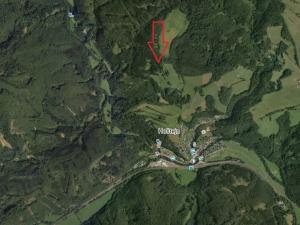 Prodej lesa, Drozdov, 11901 m2