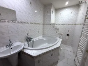 Pronájem bytu 3+1, Most, Maxe Švabinského, 54 m2