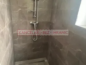 Pronájem skladu, Medlovice, 756 m2