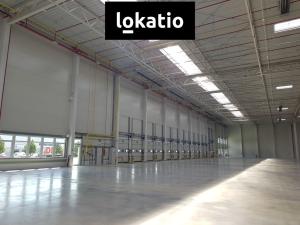 Pronájem skladu, Úžice, 5667 m2