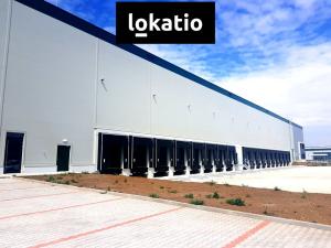 Pronájem skladu, Úžice, 5667 m2