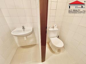 Pronájem obchodního prostoru, Brno, Minoritská, 70 m2