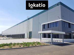 Pronájem skladu, Úžice, 14707 m2