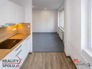 Pronájem bytu 2+1, Žďár nad Sázavou - Žďár nad Sázavou 3, Okružní, 54 m2