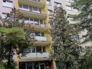 Prodej bytu 1+kk, Praha - Prosek, Veltruská, 27 m2