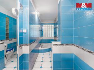 Prodej rodinného domu, Háje nad Jizerou - Loukov, 180 m2