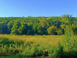 Prodej louky, Nižbor - Žloukovice, 1665 m2