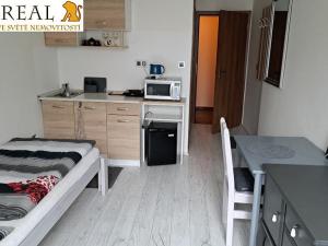 Pronájem bytu 1+kk, Brno, Pražská, 23 m2