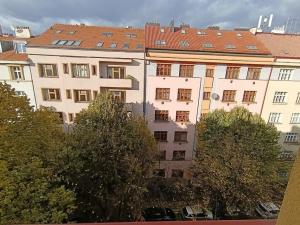 Prodej bytu 2+kk, Praha - Žižkov, Žerotínova, 42 m2