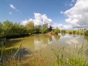 Prodej komerční, Broumov - Velká Ves, Kladská