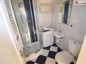 Pronájem bytu 1+kk, Praha - Smíchov, Nad Palatou, 27 m2