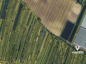 Prodej podílu zahrady, Mutěnice, 227 m2