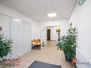 Prodej bytu 3+kk, Frýdek-Místek - Frýdek, Na Poříčí, 110 m2