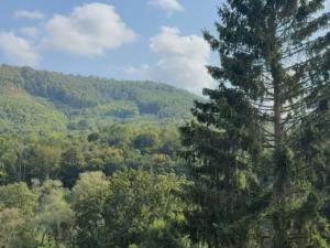 Prodej chaty, Klášterec nad Ohří, Ohřecká louka, 40 m2