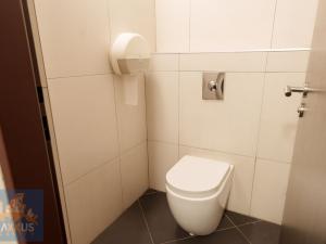 Pronájem obchodního prostoru, Praha - Vinohrady, Chrudimská, 360 m2