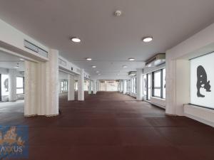 Pronájem obchodního prostoru, Praha - Vinohrady, Chrudimská, 360 m2
