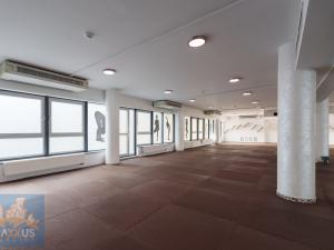 Pronájem obchodního prostoru, Praha - Vinohrady, Chrudimská, 360 m2