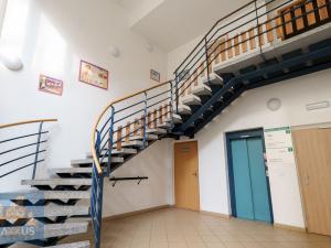 Pronájem obchodního prostoru, Praha - Vinohrady, Chrudimská, 360 m2