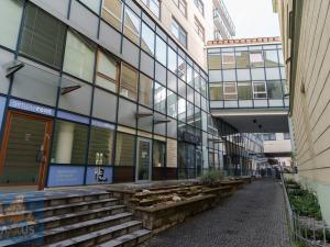 Pronájem obchodního prostoru, Praha - Vinohrady, Chrudimská, 360 m2