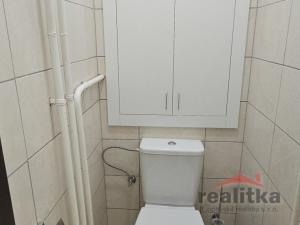 Pronájem bytu 1+1, Opava, U Střelnice, 36 m2