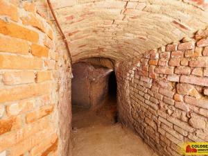 Prodej - jiné, Nový Šaldorf-Sedlešovice - Nový Šaldorf, 145 m2