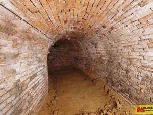 Prodej - jiné, Nový Šaldorf-Sedlešovice - Nový Šaldorf, 145 m2