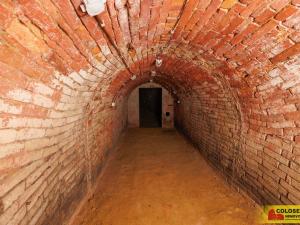 Prodej - jiné, Nový Šaldorf-Sedlešovice - Nový Šaldorf, 145 m2