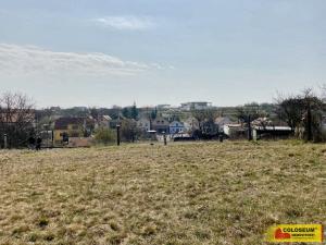 Prodej - jiné, Nový Šaldorf-Sedlešovice - Nový Šaldorf, 145 m2