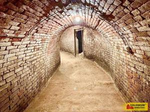 Prodej - jiné, Nový Šaldorf-Sedlešovice - Nový Šaldorf, 145 m2