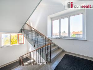 Pronájem kanceláře, České Budějovice - České Budějovice 6, Novohradská, 25 m2