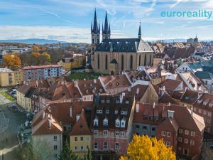 Prodej atypického bytu, Cheb, Cechovní, 168 m2
