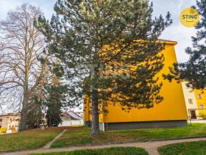 Prodej bytu 2+1, Jihlava, Zborovská, 68 m2