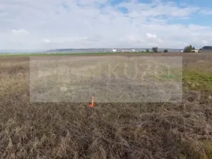 Prodej pozemku pro bydlení, Kosořice, 806 m2