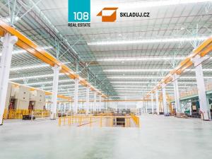 Pronájem skladu, Kvasiny, 7047 m2