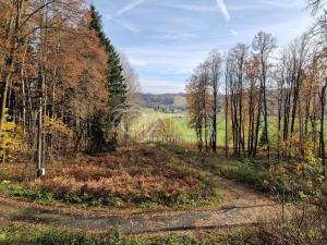 Prodej rodinného domu, Lobendava, 263 m2