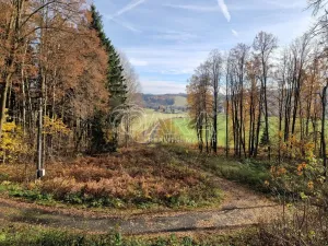 Prodej rodinného domu, Lobendava, 263 m2