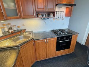 Pronájem bytu 3+1, Chomutov, Borová, 60 m2