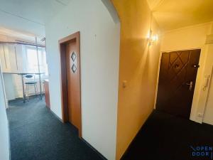 Pronájem bytu 3+1, Chomutov, Borová, 60 m2